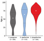 Age distribution for patients with β-hemolytic streptococcal bloodstream infections, western Norway, 1999–2021. The violin plot is based on 1,176 cases of β-hemolytic streptococcal bloodstream infection in Health Region Bergen, Bergen, Norway. The total number of cases is indicated for each species. The width of each figure corresponds to the proportion of patients in that age group. White circles represent the median age and horizontal bars indicate interquartile range.