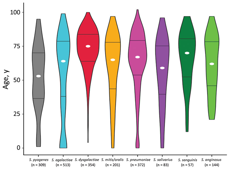 Age distribution for patients with streptococcal bloodstream infections, western Norway, 1999–2021. The violin plot is based on 2,033 cases of bloodstream infection caused by the 8 most common streptococcal species in Health Region Bergen, Bergen, Norway. The total number of cases is indicated for each species. The width of each figure corresponds to the proportion of patients in that age group. White circles indicate the median age and horizontal bars indicate interquartile range.