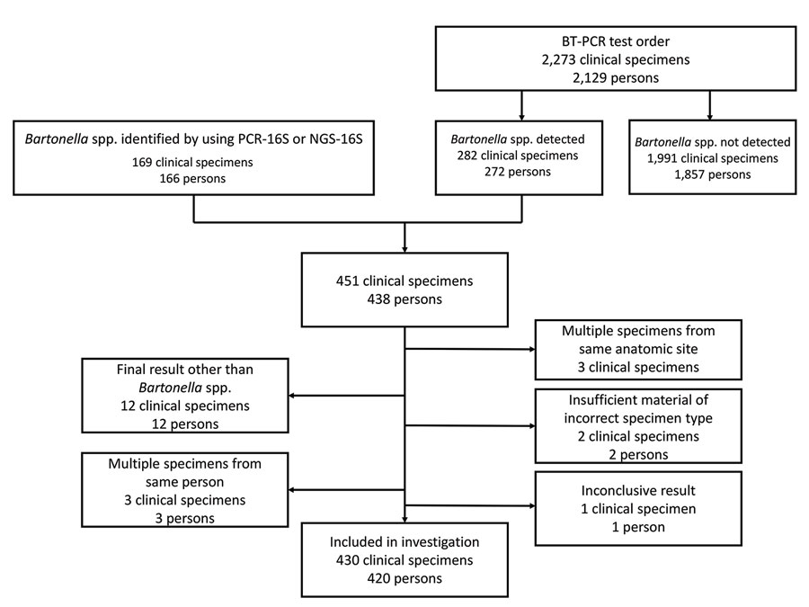 Flow diagram showing clinical specimens included in the analysis in study of Bartonella spp. infections identified by molecular methods during 2003–2021 at an academic laboratory in the United States. If a patient had multiple specimens submitted >30 days apart, only information from the first Bartonella-positive specimen was included. Clinical specimens were tested for Bartonella spp. by PCR. A total of 430 specimens from 420 patients were included in the study. BT-PCR, B. henselae and B. quintana bispecific targeted PCR; NGS-16S, next-generation sequencing of 16S rRNA amplicons; PCR-16S, PCR of 16S rRNA gene followed by Sanger sequencing–based species identification.