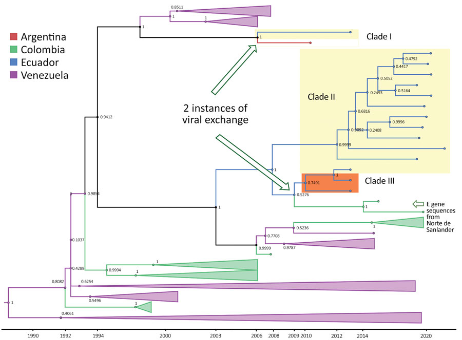 Maximum-clade credibility tree for dengue virus serotype 1 in study of transmission dynamics of dengue in large and small population centers, northern Ecuador. Tree was constructed using whole-genome sequences from Ecuador (blue), Colombia (green), Venezuela (purple), and Argentina (red) generated in BEAST software (https://beast.community). Within Ecuador, Esmeraldas Province samples are within the yellow rectangles and El Oro Province samples are within the orange rectangle, combined with E gene sequences from Norte de Santander department, Colombia. Posterior probabilities are shown in internal nodes. E, envelope.