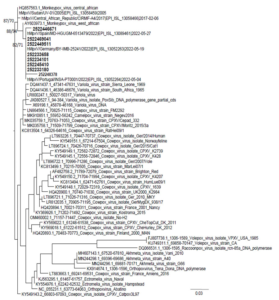 Phylogenetic relationships of monkeypox virus strains from patients in Asturias, Spain (bold), and reference strains from GenBank and GISAID (https://www.gisaid.org). Alignment has 57 sequences with 262 nucleotides. Numbers in nodes are SH-aLRT support (%)/ultrafast bootstrap support (%). Scale bar indicates number of base substitutions per site.