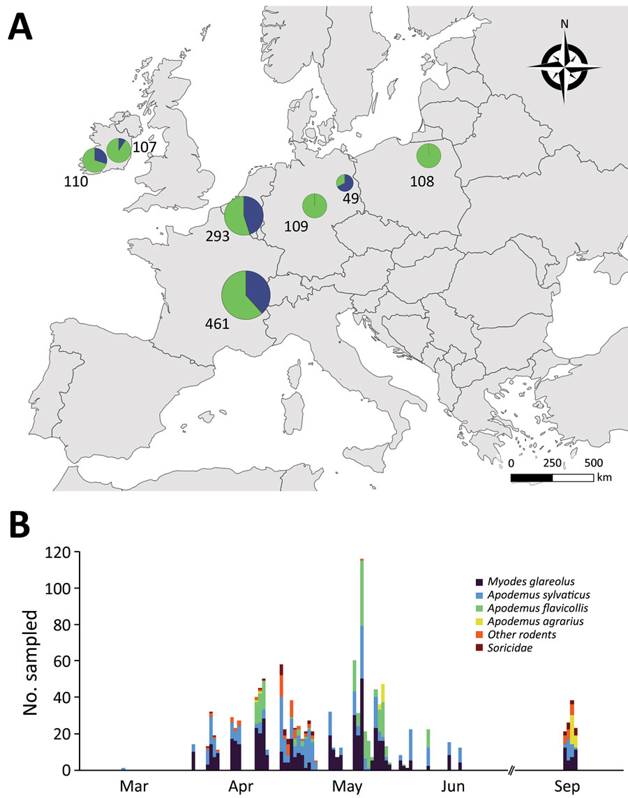 Sampling of various areas in Europe to detect SARS-CoV-2 antibody response in wild rodents. A) Location of sampling areas. Colors indicate the proportion of samples taken in the 2 habitat types (green: forests; blue: urban parks) and symbol size and numbers indicate sample size. Samples were taken from up to 8 different sites in each country (Appendix 1 Figure 1). B) Number of individuals sampled, by date and taxonomy. Details of sampling periods, habitats, and rodent species are provided in Appendix 1 Table 1. Details of sampling periods, habitats, and rodent species are provided in Appendix 2.