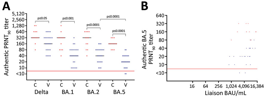 Neutralization of SARS-CoV-2 variants among vaccine-boosted persons with and without prior Omicron BA.1/BA.2 infections, Denmark. A) PRNT90 titers against SARS-CoV-2 Delta variant and Omicron variants BA.1, BA.2, and BA.5. B) Correlation between the levels of spike antibodies and PRNT90 titers. Participants received 3 doses of BNT162b2 (Pfizer-BioNTech, https://www.pfizer.com), 2 initial vaccines and a booster dose. We analyzed titers for 24 vaccinated participants (blue dots) who received 3 BNT162b2 doses only and 12 convalescent participants (red dots) who received 3 vaccine doses and had Omicron BA.1/BA.2 infection. For statistical analysis, a Kruskal-Wallis test was applied initially to account for the multiple comparisons problem. Subsequently, unpaired PRNT90 titers were compared with the Wilcoxon rank-sum test, whereas paired PRNT90 titers were compared with the Wilcoxon sign rank test. Red horizontal lines indicate neutralization threshold; horizontal bars indicate median neutralization titer for each SARS-CoV-2 strain. BAU, binding antibody units; C, convalescent participant; PRNT90, plaque reduction neutralization tests with plaque reduction >90%; V, vaccinated participant.