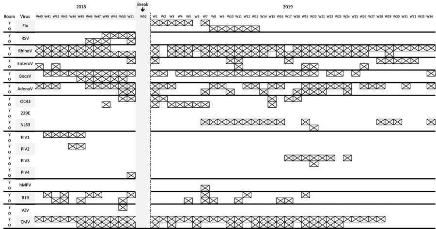 Detection of viruses by age group during study involving used facial tissues to monitor and diagnose viral respiratory infection. Each week is represented by a column, and detection of different viruses is indicated by a crossed cell. 229E, coronavirus 229E; OC43, coronavirus OC43; NL63, coronavirus NL63; AdenoV, adenovirus; BocaV, bocavirus; CMV, cytomegalovirus; EnteroV, enterovirus; Flu, influenza virus; hMPV, human metapneumovirus; O, older age group; PIV, parainfluenza virus; RSV, respiratory syncytial virus; RhinoV, rhinovirus; VZV, varicella zoster virus; W, week; Y, younger age group.