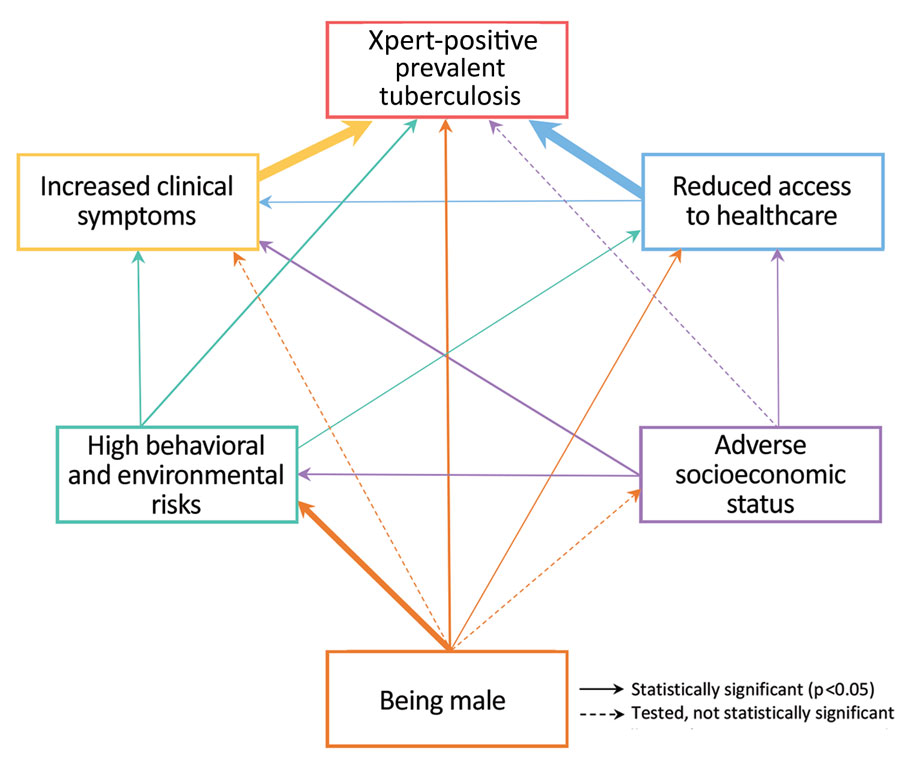 Structural equation model of the relationships between domains and Xpert-positive (Xpert MTB/Rif; Cepeheid, https://www.cepheid.com) tuberculosis prevalence for case–control analysis of tuberculosis prevalence, Vietnam, 2017–2018. For significant associations, the arrow thickness corresponds to the effect size. Each outcome was adjusted for age, area, and region. See Table 3 for the full estimation results. Model results were weighted using sampling and lost-to-follow-up weights. Bootstrapped area under the curve (1,000 replications) was 0.90 (95% CI 0.89–0.92).