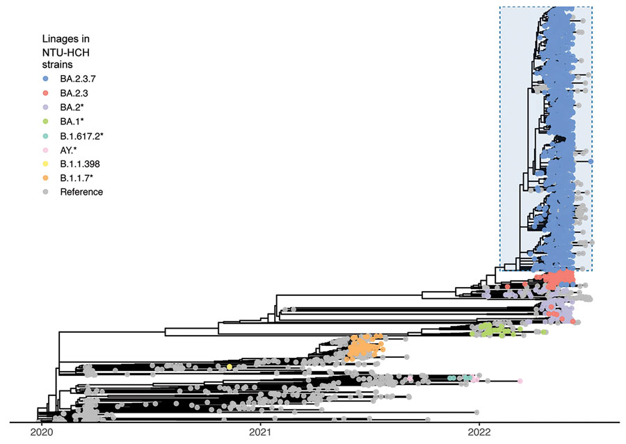 Phylogenetic analysis of SARS-CoV-2 sequences based on 1,966 sequences from the NTU-HCH surveillance program in Taiwan and 881 sequences from GISAID (https://www.gisaid.org). Lineages of NTU-HCH strains are annotated in different colors; asterisks (*) represent the collection of a specific lineage with its sublineage. The BA.2.3.7 strains were dominantly circulating in Taiwan from March 2022, highlighted by light blue in the tree. NTU-HCH, National Taiwan University Hospital–Hsinchu Branch.