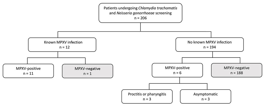 Flowchart of retrospective quantitative PCR screening for MPXV in oropharyngeal and rectal swab samples submitted for Chlamydia trachomatis and Neisseria gonorrhoeae testing, California, USA, 2022. Patients with known MPXV infection (n = 12) were diagnosed by quantitative PCR of cutaneous lesions. Patients without known mpox did not have MPXV-positive tests or cutaneous lesions at the time of specimen collection for C. trachomatis and N. gonorrhoeae testing. MPXV, monkeypox virus.