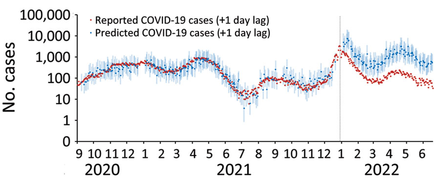 Predicted number of Peel COVID-19 cases (+ 1 day of wastewater sampling date) based on linear regression model using data before wave 5, Regional Municipality of Peel, Ontario, Canada, September 1, 2020–June 18, 2022. Data are plotted on the logarithmic scale. Light blue shaded area represents 95% prediction intervals. Vertical dotted line marks the date when clinical PCR testing for SARS-CoV-2 was restricted to high-risk populations, December 30, 2021.