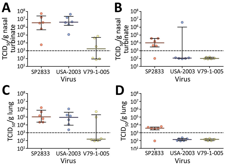 Monkeypox virus infectious titers from lung and nasal turbinate samples from experimentally infected deer mice. Groups of 12 deer mice (6 male, 6 female) were experimentally infected with monkeypox virus isolates SP2833, USA-2003 (both clade II), or V79-1-005 (clade II) through the intranasal route. Lung and nasal turbinates were collected from 3 male and 3 female rodents at days 4 and 10 postinfection and infectious titers assessed using standard tissue culture methods. Shown are the infectious titers for individual specimens (dots) or median values (solid lines) and interquartile ranges (error bars) for nasal turbinate specimens collected at day 4 (A) and day 10 (B) postinfection and lung specimens collected at day 4 (C) and day 10 (D) postinfection. Dotted line represents the lower limit of detection of the assay. TCID50, median tissue culture infectious dose.