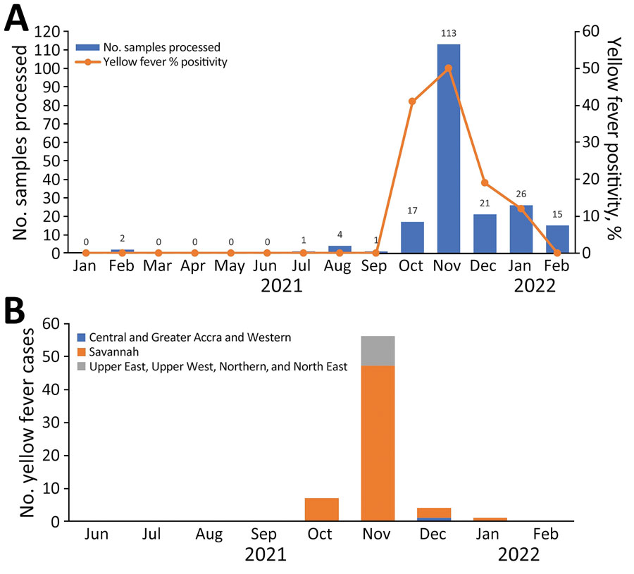 Distribution of yellow fever cases over time, Ghana, January 2021–February 2022. A) Percentage positivity over the outbreak period and total number of samples processed. B) Numbers of yellow fever–positive participants over the outbreak period within the 3 regional categories.