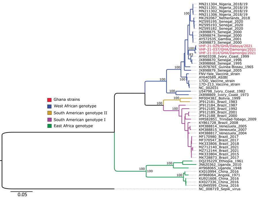 Phylogenetic analysis of yellow fever virus sequences from 3 confirmed cases in Ghana during January 2021–February 2022 (red text) compared with reference sequences obtained from GenBank in January 2022 (identified by GenBank accession number and country of origin).). Virus genotypes are indicated with different color nodes on the tree. Some branches with low support values were collapsed for clarity of presentation. Scale bar indicates substitution per site.