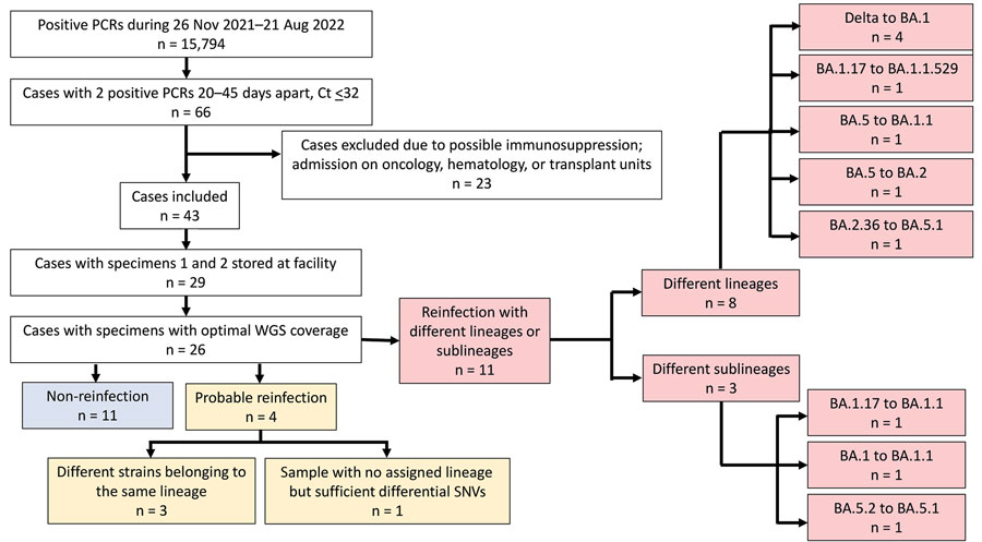 Flowchart of case selection in a study of early SARS-CoV-2 reinfection involving the same or different genomic lineages, Spain. PCR-positive cases were diagnosed by our tertiary hospital, which covers 650,000 inhabitants in the population of Madrid. Among 26 cases with optimal coverage for WGS, 11 were reinfections (red boxes), 4 of which were non-Omicron to Omicron lineage reinfections. Probable reinfection cases (yellow boxes; patients 23–26) showed enough unique SNV differences between the sequences from their sequential specimens to be suspect of reinfection (Appendix Table 3). Ct, cycle threshold; SNV, single-nucleotide variants; WGS, whole-genome sequencing.