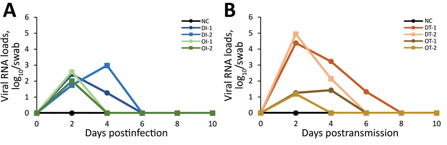 Viral RNA loads of SARS-CoV-2 determined by real-time PCR in animals in study of experimental infection and transmission of SARS-CoV-2 Delta and Omicron variants among beagle dogs. A) Viral loads in nasal swab samples from infected dogs. B) Viral loads in nasal swab samples from naive (transmission) dogs exposed to dogs infected with Delta or Omicron variants. NC, normal control; DI, delta variant infection; OI, omicron variant infection; DT, delta variant transmission; OT, omicron variant transmission.