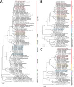 Phylogenetic trees of small (S), medium (M), and large (L) segments in a study of evolutionary formation and distribution of Puumala virus genome variants, Russia. A) S segment based on complete open reading frame (ORF) of 1,302 nt; B) M segment based on partial ORF 2,923 nt (525–3,447 nt of ORF of GenBank accession no. OL343565); C) L segment based on partial ORF 6,405 nt (5–6,409 nt of ORF of GenBank accession no. OL343543). The RUS lineage is divided into 3 large, color-coded subclades: Volga-RUS (red), W-RUS (orange), Balt-RUS (yellow). The FIN lineage is divided into 2 large, color-coded subclades: East-FIN (blue) and West-FIN (purple). Green indicates LAT lineage; black indicates other lineages. Boxes indicated sequences obtained in this study. GenBank accession numbers are provided for all sequences. All alignments and phylogenetic relationships of the sequences were conducted by the MUSCLE algorithm (https://www.ebi.ac.uk/Tools/msa/muscle) and maximum-likelihood method with the general time-reversible model and 1,000 bootstrap by using MEGA version X (https://www.megasoftware.net). The full S segment tree with complete dataset of all available representatives of LAT, FIN, and RUS lineages are available from https://github.com/AndreiDeviatkin/repo/blob/main/S_PUUV.png. Balt-RUS, sublineage from the Baltic coast region; East-FIN, sublineage from Siberia and northern Russia; FIN, Finnish lineage; LAT, Latvian lineage; RUS, Russian lineage; Volga-RUS, sublineage from the Volga River Valley; W-RUS, sublineage from western Russia; West-FIN, sublineage from Finland and Russian Karelia.