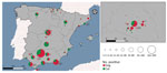 Spatial distribution of sampled animals and those testing positive for SARS-CoV-2 by neutralizing antibodies in study of SARS-CoV-2 seroprevalence studies in pets, Spain. Map at right shows detail of boxed area at left. Red numbers indicate number of positive dogs; green numbers indicate number of positive cats.
