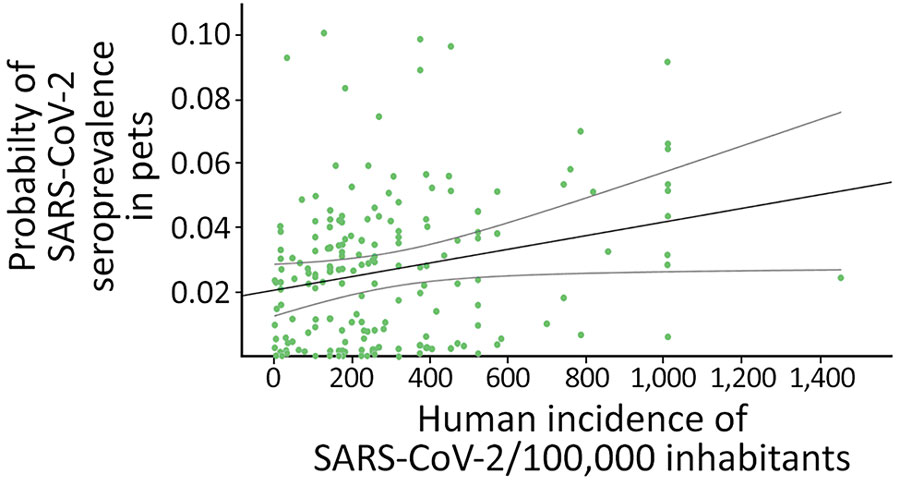 Predicted probability of SARS-CoV-2 seroprevalence in pets as related to registered human incidence (cases per 100,000 inhabitants) at the province-period (3 months each period) level in study of SARS-CoV-2 seroprevalence studies in pets, Spain. The black line marks the trend and slope of the correlation. Lighter gray lines show 95% CIs.