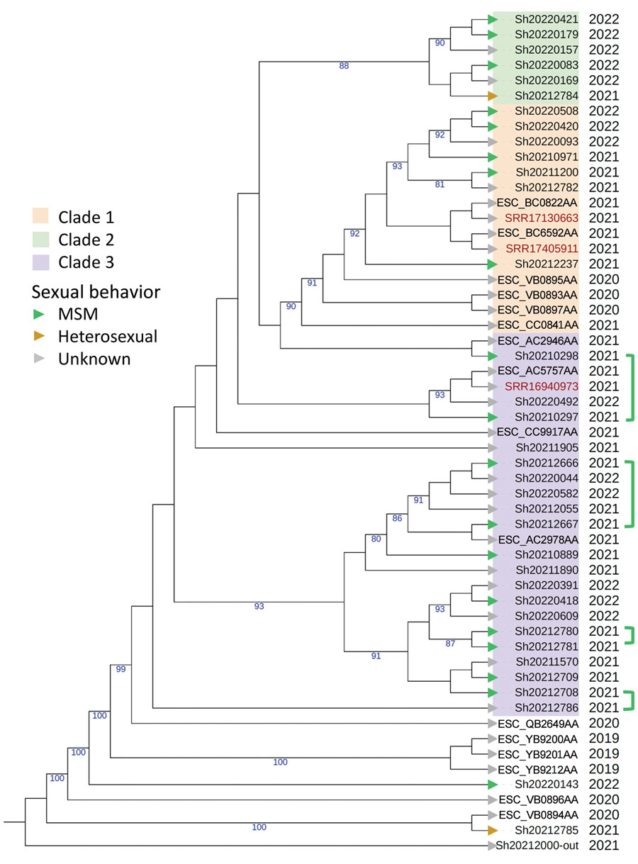 Phylogenetic analysis of ST152 isolates showing 2 clusters from an investigation of suspected multidrug-resistant Shigella sonnei in Spain. Red text indicates reference sequences from the United Kingdom; blue text indicates assembly barcodes of ST152 feeding sequences available on Enterobase (https://enterobase.warwick.ac.uk) from 2019 to 2022. Green arrowheads indicate cases associated with MSM; green brackets connect known sexual partners. Orange arrowheads indicate cases in heterosexual persons (female or male); gray arrowheads indicate sexual behavior was unknown. A sequence from another sequence type was used as an outgroup. Numbers on branches indicate bootstrap values >80%. MSM, men who have sex with men; ST, sequence type.