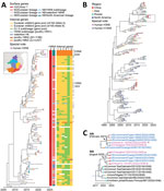 Bayesian time-resolved phylogenetic tree of hemagglutinin (HA) genes from avian influenza subtype H3 viruses and neuraminidase (NA) genes from subtype N8 viruses from China and reference sequences from GISAID (https://www.gisaid.org). A) Maximum clade credibility tree of HA genes of the China-1.1 H3 subgroup (n = 122). Tip points are colored by provinces (corresponding to the fill color in the map). Violet triangles indicate human H3N8 viruses. The lineage origins of each gene segment of H3 AIVs are represented by different colored tiles adjacent to the tree; the tile is blank if the sequence is unavailable. H3N2 G23 viruses are indicated with arrows. H3N8 G25 viruses are indicated within the bracket. The fully resolved tree with detailed information is depicted in Appendix Figure 6. B) Maximum clade credibility tree of N8 genes (n = 202). Tip points are colored by region. Violet triangles indicate human H3N8 viruses; purple triangle indicates human H10N8 virus. Virus names of the representative cluster (in the dashed box) are shown in panel C. The fully resolved tree with detailed information is depicted in Appendix Figure 7. C) Clades in the dashed box in panels A and B. Trees are drawn to the same scale. Blue indicates H3 avian influenza viruses sequenced in this study; violet indicates human H3N8 viruses. For HA (top) and NA (bottom) genes, branch tips are colored as in panels A and B. Blue node bars correspond to the 95% credible intervals of node heights. Arrows indicate the most recent common ancestors of HA and NA genes of H3N8 G25 viruses.