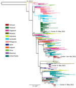 Maximum-likelihood tree of SARS-CoV-2 Alpha and Delta variants during large nationwide outbreak of COVID-19, Vietnam, 2021. Complete coding sequences of Alpha variant viruses circulating in Vietnam in 2021 are shown. Phylogenetic clusters were named accordingly to community clusters recorded during the study period shown in Appendix Figure 1). Numbers along branches are bootstrap values. Cluster II was linked with a traveler from Japan (Appendix Figure 1). Outgroup was the SARS-CoV-2 wild-type strain (GenBank accession no. NC_0455122).