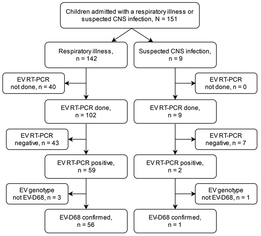 Flowchart of the enterovirus D68 (EV-D68) testing process of children hospitalized with respiratory illness or suspected central nervous system (CNS) infection at Turku University Hospital, Turku, Finland, during August 1–September 30, 2022. EV, enterovirus; RT-PCR, reverse transcription PCR.