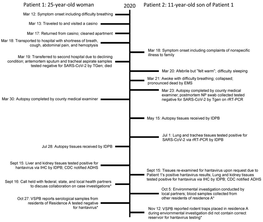 Timeline of illness course, laboratory testing, and public health investigations for 2 patients who died of hantavirus infection, Arizona, USA. Asterisk (*) indicates reported information that applies to both cases. IDPB, Infectious Diseases Pathology Branch, CDC (National Center for Emerging and Zoonotic Infectious Diseases, Division of High-Consequence Pathogens and Pathology); IHC, immunohistochemical testing; CDC, Centers for Disease Control and Prevention; NP, nasopharyngeal; rRT-PCR, real time reverse transcription PCR; TGen, Translational Genomics Research Institute; VSPB, Viral Special Pathogens Branch, CDC (National Center for Emerging and Zoonotic Infectious Diseases, Division of High-Consequence Pathogens and Pathology). 