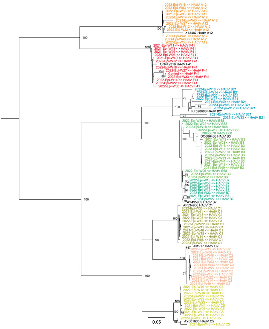 Maximum likelihood pandemic-scale phylogenetics