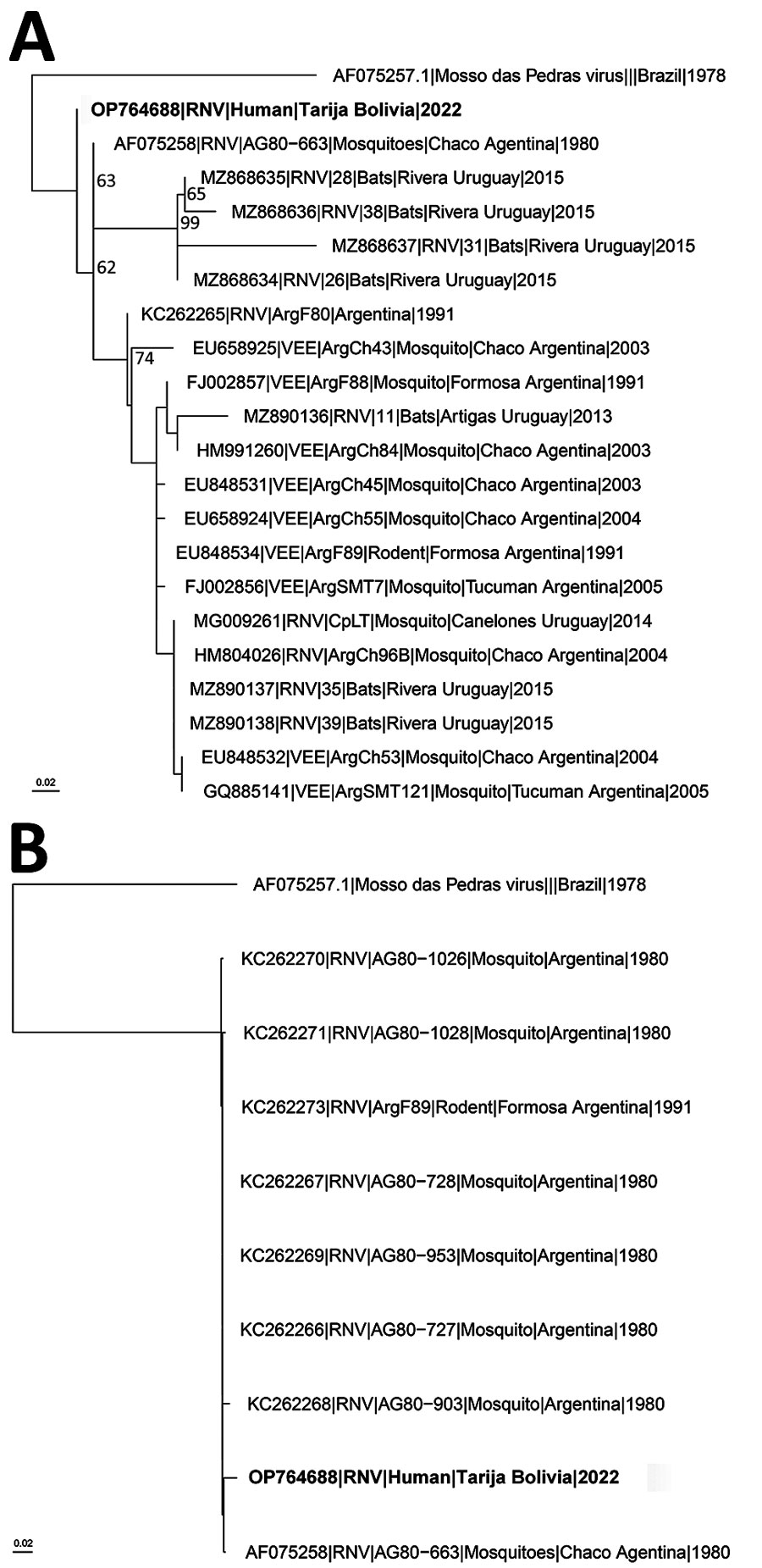 Inferred phylogenetic relationships of Rio Negro viruses collected from mosquitoes, bats, and rodents in South America and the human-derived RNV sequence described in this report from Tarija, Bolivia (bold text). A) Phylogenetic tree made with an alignment of partial nsP4 sequences of Rio Negro viruses. Mossa das Pedras virus is included as an outgroup. B) Phylogenetic tree made with an alignment of partial E3/GP2 sequences of Rio Negro viruses. Mossa das Pedras virus is included as an outgroup. GenBank accession numbers are provided. Scale bars indicate substitutions per site.