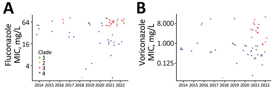 Temporal distribution of Candida auris clades and their respective MIC values, Israel. Distribution of C. auris fluconazole and voriconazole MIC is shown for January 2014–May 2022. Each dot represents a patient-specific isolate. High fluconazole and voriconazole MIC associated with clade III is noted in 2021 and 2022.