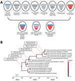 Phylogenetic analysis of novel highly pathogenic avian influenza A(H5N1) clade 2.3.4.4b viruses found in wild bird feces in South Korea, November 2022. A) Schematic representation of origin of virus isolates from South Korea compared with genotype G10 viruses found in China. Bars represent 8 gene segments of avian influenza virus in the following order (top to bottom): polymerase basic 2, polymerase basic 1, polymerase acidic, hemagglutinin, nucleoprotein, neuraminidase, matrix, and nonstructural. Different bar colors indicate different virus origins estimated from maximum-likelihood phylogenetic trees. Gene segments originating from highly pathogenic avian influenza viruses are indicated by red bars. Gene segments originating from low pathogenicity avian influenza viruses are indicated by blue bars. B) Time-scaled maximum clade credibility tree for hemagglutinin gene segments from novel viruses isolated in South Korea (5 viruses at top). Red to blue colored scale on right side indicates posterior clade probabilities at nodes. Scale bar indicates nucleotide substitutions per site. HPD, highest posterior density.