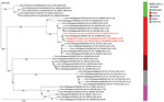 Maximum-likelihood phylogenomic tree from a case of anthropogenic transmission of SARS-CoV-2 from humans to lions, Singapore, 2021. Tree reconstructed from sequences of 2 lions and 1 zookeeper (red bold text), along with 36 other publicly available sequences representing 4 variants of concern from Singapore, cases of infected lions from the Bronx Zoo, and the wild-type reference genome (GenBank accession no. NC_045512.2) as the outgroup. Scale bar indicates nucleotide substitutions per site. EPI, GISAID (https://www.gisaid.com) EpiFlu database.