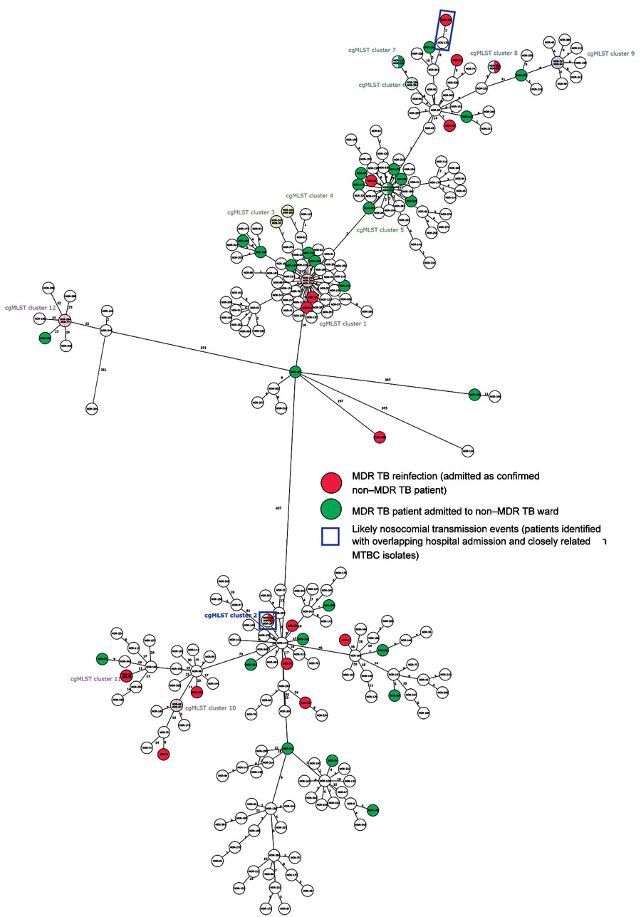 Phylogenetic network representing the genomic relatedness of all patient isolates in study of limited nosocomial transmission of drug-resistant tuberculosis, Moldova. Network is based on a core genome multilocus sequence type analysis. Pink indicates patients who acquired MDR TB, green indicates MDR TB patients initially admitted to a non–MDR TB ward; blue boxes indicate identified likely nosocomial transmission events. MDR, multidrug-resistant; MTBC, Mycobacterium tuberculosis complex; TB, tuberculosis.