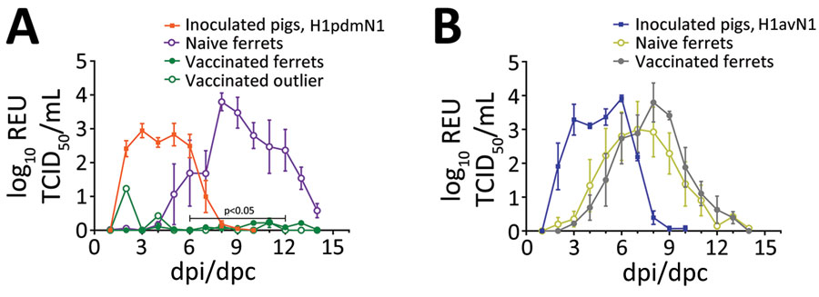 Nasal shedding of viral RNA monitored in pigs intranasally inoculated with influenza A virus strains A/swine/England/1353/2009 (H1pdmN1) (A) or A/Pavia/65/2016 (H1avN1) (B) and in naive or vaccinated ferrets cohoused in the same airspace as inoculated pigs. Viral RNA was quantified by real-time quantitative reverse transcription PCR in longitudinal nasal samples collected daily until 14 dpi (pigs) or 14 dpc (ferrets) and is expressed as REU based on an RNA quantification standard prepared from the corresponding virus stock. In vaccinated ferrets (n = 4) exposed to the H1pdmN1 strain, nasal shedding of viral RNA between 6 dpc and 12 dpc was significantly different from the naive ferret group (p<0.05). Results for the remaining ferret in this group are shown as outlier data (hollow green circles). dpc, days postcontact; dpi, days postinoculation; REU, relative equivalent unit; TCID50, 50% tissue culture infectious dose.