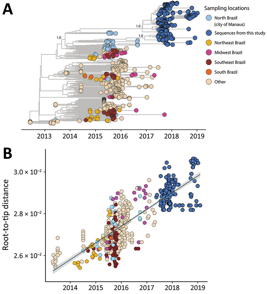 Genomic epidemiology of Zika virus strains obtained from study participants in northern Brazil and reference sequences. A) Time-scaled maximum clade credibility tree of Zika virus Asian lineage in Brazil, including the 238 new genomes generated in this study (dark blue) plus 481 reference strains sampled worldwide. Tips are colored according to the sample source location. Values at nodes represent posterior probability support of the tree nodes inferred under Bayesian evolutionary analysis using a relaxed molecular clock approach. B) Root-to-tip regression of sequence sampling date against genetic divergence from the root of the outbreak clade.