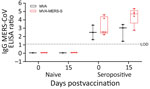 Antigen-specific humoral immunity after MVA-MERS-S vaccination in dromedary camels, Dubai, United Arab Emirates. MERS-CoV seropositive and naive dromedary camels were immunized once with 2.5 x 108 plaque-forming units MVA-MERS-S or MVA as a vector control. Serum samples were collected on day 0 and on day 15 after single-shot vaccination. Black indicates serum samples analyzed for MERS-CoV S1 IgG by ELISA MVA of vaccinated animals and red indicates for MVA-MERS-S vaccinated animals. Box plots show individual values (dots), median values (horizontal lines within boxes), first and third quartiles (box tops and bottoms), and minimums and maximums of value distribution (error bars). LOD, limit of detection; MERS-CoV, Middle East respiratory syndrome coronavirus; MVA, modified vaccinia virus Ankara; MVA-MERS-S, modified vaccinia virus Ankara expressing full-length MERS-CoV spike protein as antigen.