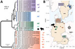 Phylogenetic analysis and spatial distribution of rustrela virus infections in Europe. A) Maximum-likelihood phylogenetic tree of partial rustrela virus (RusV) sequences (409 nt, representing genome positions 100–508 of donkey-derived RusV reference genome, GenBank accession no. MN552442.2). Only bootstrap values at major branches are shown in the phylogenetic tree. RusV sequence names are shown in the format host/ISO 1366 code of location (federal, state, country)/animal ID/year. The tree was produced using IQ-TREE version 2.2.0; transition model 2 plus empirical frequency plus gamma 4 with 1,000 bootstrap replicates. Bold text indicates sequences from this study. Scale bar indicates substitutions per site. B) Mapping of the geographic origin of RusV-positive animals in Europe. Colors represent the phylogenetic clades of the sequences. Diamonds represent lions; circles, domestic cats; triangles, other zoo animals; squares, Apodemus spp. rodents. Symbols in gray boxes represent individuals from the same or very close locations. AUT, Austria; BE, Berlin; DEU/GER, Germany; MV, Mecklenburg–Western Pomerania; NI, Lower Saxony; NW, North Rhine–Westphalia; SWE, Sweden.