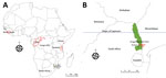 Geographic distribution of recorded human cases of tanapox. A) Locations of previous tanapox cases reported in the literature. Red dots indicate cases acquired locally; red outlines indicate regions of countries visited by travelers to Africa. B) Location of the case acquired in Kruger National Park, South Africa, 2022. Green shading shows the park’s location; black triangle indicates town of Skukuza.