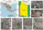 Sampling locations for the study of spotted fever and typhus group rickettsia in dogs and humans, in Reynosa, Mexico, 2022. Primary maps show the location of Reynosa along the Mexican border and the United States;  sampled neighborhoods (A–F) are labeled and magnified in satellite images.  Primary maps generated using QGIS 3.28.2 (https://www.qgis.org).  Free geographic data of the administrative areas of Mexico have been downloaded from the National Institute of Statistics and Geography of Mexico (INEGI, https://www.inegi.org.mx/app/mapas).  Satellite images and street maps were obtained from Google Maps (https://www.google.com/maps).