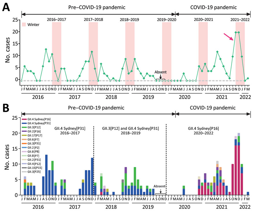 Emergence of recombinant GII.4 Sydney[P16] norovirus associated with acute gastroenteritis among children treated as outpatients in Shanghai, before and during COVID-19 pandemic, Shanghai, China, during January 2016–March 2022. A) Numbers of cases of norovirus-associated acute gastroenteritis. Red arrow indicates an abrupt increase in norovirus activity. B) Genotype (polymerase-capsid) distribution of norovirus. Different norovirus genotypes are indicated by color (key). Start date of COVID-19 pandemic declared by World Health Organization was March 11, 2020; absent labels indicate period (September–December 2019) during which fecal sample collection was paused. 