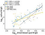 Quantitative comparison of nucleocapsid IgG in saliva and dried blood spots among 79 study participants, US Naval Academy, Annapolis, Maryland, USA, December 2020–May 2021. N, nucleocapsid.