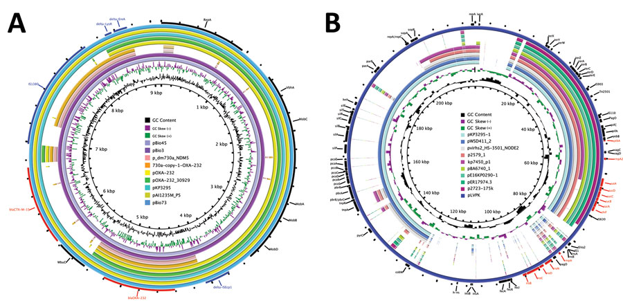 Genetic comparison of blaOXA-232–carrying plasmids (A) and virulence plasmids (B) recovered from Klebsiella pneumoniae isolate KP3295 from China with reference plasmids. A) Alignment of blaOXA-232–carrying plasmids pKP3295-5-OXA-232 (this study), pAI1235M_P5 (GenBank accession no. CP079136), pOXA-232_30929 (accession no. KX523904), pOXA-232 (accession no. JX423831), pBio45 (accession no. CP093855), pBio73 (accession no. CP093853), pBio3 (accession no. CP094228), p_dm730a_NDM5 (accession no. CP096174), and 730a-copy-1-OXA-232 (accession no. CP096173). We used pAI1235M_P5 as the reference plasmid. Red indicates antimicrobial resistance genes. B) Alignment of virulence plasmids pKP3295-1 (this study), pWSD411_2 (accession no. CP045675), pvirhs2_HS-3501_NODE2 (accession no. OM975892), p2579_1 (accession no. MK649822), kp7450_p1 (accession no. CP090469), pBA6740_1 (accession no. MK649823), pE16KP0290-1 (accession no. CP052259), pER17974.3 (accession no. CP059296), p2723–175k (accession no. CP072940), and pLVPK (accession no. AY378100). We used pLVPK as the reference plasmid. Red indicates virulence genes.