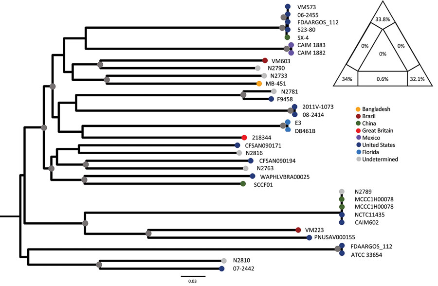 Maximum-likelihood tree of Vibrio mimicus strains. The tree was calculated by using 35 sequences; the best evolutionary model was selected by Bayesian information criterion. Nodes marked by a gray circle have bootstrap support (1,000 replicates) >90%. Scale bar represents the number of substitutions per site. The phylogenetic signal of the alignment was determined by likelihood mapping, as shown by the triangle in the top right corner. Likelihood mapping method is based on the analysis of maximum likelihoods for quartets of sequences randomly extracted from the alignment. There are only 3 possible fully resolved tree topologies deriving from 4 sequences (e.g., with 4 sequences named A,B,C, and D, sequence A can cluster with B and C with D; or A with C and D with B; or A with D and B with C); alternatively, if there is not enough information in the sequences, the result will be a star-like topology. The likelihoods of the 3 possible topologies are represented as 1 point in an equilateral triangle, in which each vertex represents 1 of the possible topologies. The triangle is partitioned in 7 regions: the region in the center represents completely unresolved quartets with star-like evolution topology; the 3 regions in the corners represent well-resolved topologies; the regions along the sides represent the situation in which it is difficult to decide between 2 of the 3 possible topologies. Percentages in the triangle reflect the number of quartets assigned to each region. A higher sum of the percentages in the triangle corners (completely resolved quartets) indicates a higher phylogenetic signal contained in the alignment. The alignment signal of >99% therefore shows a strong phylogenetic signal, which enables reliable calculation of the tree. 