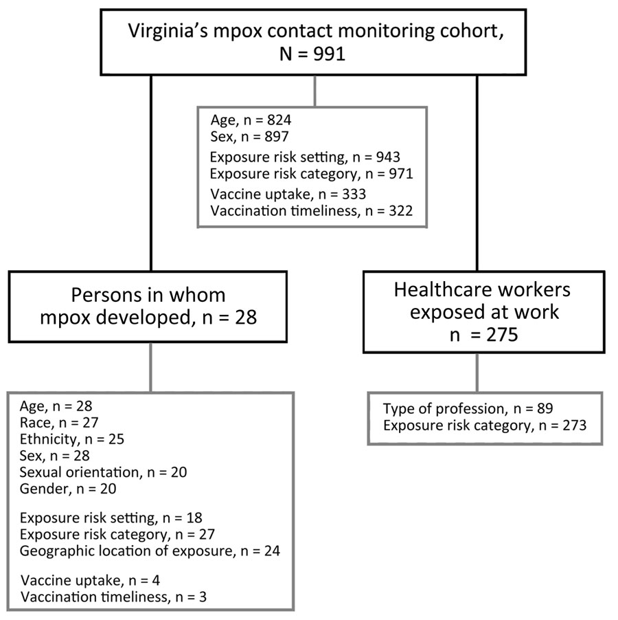 Mpox contact tracing and symptom monitoring cohort (n = 991), Virginia, USA, May 1–November 1, 2022. Analyzed subcohorts included persons in whom mpox developed (n = 28) and healthcare workers exposed at work (n = 275).