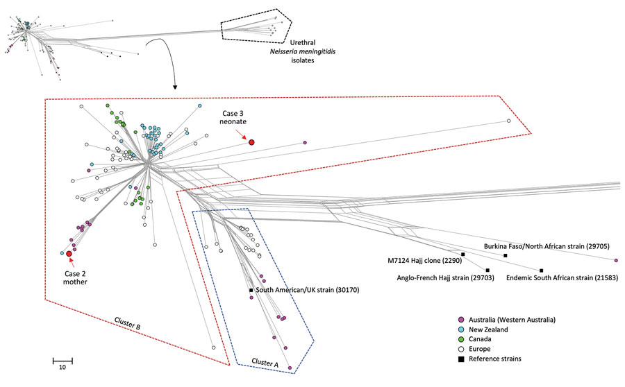 Phylogenetic relationship of 2 invasive Neisseria meningitidis serogroup W (MenW:cc11) strains from 3 mother-baby pairs with invasive meningococcal disease in Western Australia, Australia, compared with other local and international isolates. The neighbor-net phylogenetic network was constructed based on 1,605 core genome loci using the Genome Comparator tool available on the PubMLST Neisseria website (https://pubmlst.org/organisms/neisseria-spp). Red indicates the 2 isolates reported in this study ; pink circles indicate isolates from Western Australia reported by Mowlaboccus et al. (1); blue, green, and white circles indicate isolates from the Australian Penicillin Resistance–Associated Lineage reported by Willerton et al. (3) from New Zealand, Canada, and Europe, respectively; black squares indicate reference invasive MenW/cc11 strains characterized by Lucidarme et al. (4). Identification numbers in parentheses indicate PubMLST identification numbers of reference isolates. Inset at top shows full phylogenetic trees; callout at left shows urethral N. meningitidis strains strains from Tzeng et al. (2) and Ma et al. (5), which were isolated from urethral swabs in the United States (NM1, NM2), the United Kingdom (M11_240294, M11_241043, M13_240559), Italy (PE5, PE6, PE7), and France (LNP26948, LNP27256). Scale bar indicates number of different loci among the 1,605 compared.
