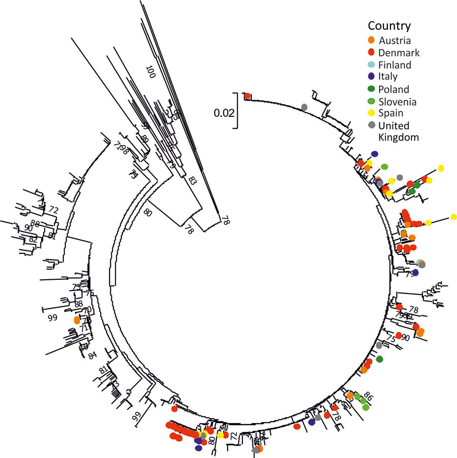 Phylogenetic analysis of the VP3/VP1 region of PeV-3 sequences, Europe, 2015–2021. Neighbor-joining phylogenetic tree of the VP3/VP1 junction region obtained from the study samples (n = 106) is labeled by country of sample origin and compared with 630 available sequences spanning the analyzed region from GenBank. The tree was constructed using MEGA 7 (17) using Jukes-Cantor corrected distances, with bootstrap resampling; branches showing 70% or greater supports were labeled. Scale bar indicates substitutions per site. A maximum-likelihood analysis of the same sequence dataset is provided in Appendix Figure 2. PeV, parechovirus type; VP, viral protein.