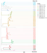 Genomic clusters of M1UK invasive group A Streptococcus disease, United States, 2015–2021. Core-genome phylogenetic tree of 86 M1UK invasive group A Streptococcus disease isolates and the reference M1 genome MGAS5005 was based on 462 core single-nucleotide variant sites generated by kSNP3.0 software (9). Tip colors indicate 9 groups of genomically closely related isolates (genomic clusters). Key shows total number of M1UK isolates in each cluster. Scale bar indicates expected nucleotide substitutions per site.