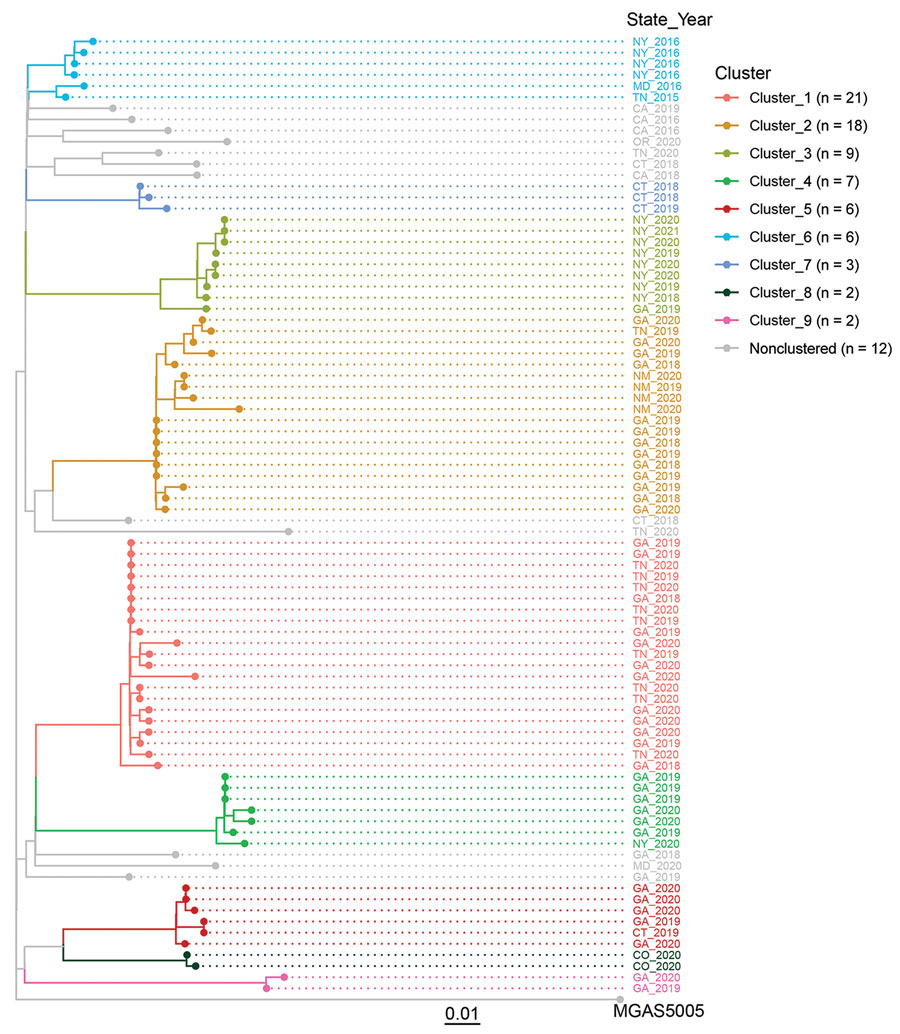 Genomic clusters of M1UK invasive group A Streptococcus disease, United States, 2015–2021. Core-genome phylogenetic tree of 86 M1UK invasive group A Streptococcus disease isolates and the reference M1 genome MGAS5005 was based on 462 core single-nucleotide variant sites generated by kSNP3.0 software (9). Tip colors indicate 9 groups of genomically closely related isolates (genomic clusters). Key shows total number of M1UK isolates in each cluster. Scale bar indicates expected nucleotide substitutions per site.