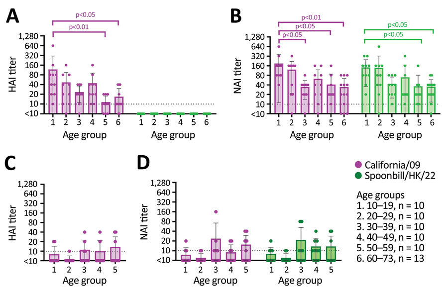 Age-stratified HAI and NAI antibody responses to influenza A(H1N1)pdm09 (California/09) and A(H5N1) (Spoonbill/HK/22) viruses in serum samples collected from healthy adults in 2020 and 2009, Hong Kong, China. A, B) Results for serum samples of 63 healthy adults collected in 2020. C, D) Results for serum samples of 50 healthy adults collected in 2009. The assay detection limit was 1:10, and samples with antibody below the detection limit were assigned an arbitrary antibody titer of 5, which is used to calculate geometric mean titer. The HAI and NAI titers across different age groups were compared using Kruskal-Wallis test and Dunn’s multiple comparison test. HAI, hemagglutination inhibition; NAI, neuraminidase inhibition. 