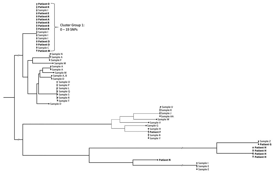 Phylogenetic tree representing patients hospitalized with invasive Serratia marcescens infections and whole-genome sequencing for environmental and clinical isolates at prison A, California, USA,  January 2020–March 2023. The predominant outbreak cluster included patients A, B, D, E, K, M, O, and R and environmental samples C (needle/syringe) and sample I (nasal spray bottle) from patient D. These sequences had 0–19 single-nucleotide polymorphism (SNP) differences. Patient F, sample B (coffee cup) found in patient D’s cell, sample H (hand rinsate) from the cellmate of patient D, and sample Y (doorway swab) from the cell occupied at different times by both patient A and AC are grouped together within a 11–17 SNP range.
