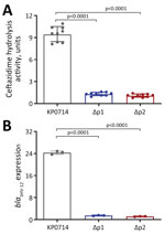 Overexpression of blaSHV-12 contributing to ceftazidime/avibactam resistance in Klebsiella. pneumoniae isolate KP0714 in study of ceftazidime/avibactam resistance in carbapenemase-producing K. pneumoniae. A) Relative blaSHV-12 expression level. B) Ceftazidime hydrolysis activity of different blaSHV-12 promoter deletion mutants. One unit of enzyme activity was defined as the amount of enzyme that hydrolyzed 1 nmol of substrate per min. Error bars indicate SDs. p values were computed by 1-way analysis of variance with Bonferroni correction.