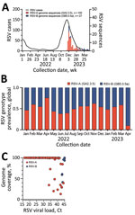 Genomic sequencing analysis of RSV in Arizona, USA, 2022–2023. A) Five-week moving average of PCR-confirmed RSV detections in Arizona reported to the National Respiratory and Enteric Virus Surveillance System and RSV sequence counts by genotype obtained for specimens used in this study. B) Relative abundance of RSV-A and RSV-B genotypes shown for all RSV genomes (RSV-A, n = 1,047; RSV-B, n = 941) deposited in GISAID (https://www.gisaid.org) with collection dates January 1, 2022–May 1, 2023, including genotypes obtained for specimens used in this study (RSV-A n = 100; RSV-B, n = 27). C) Reverse transcription PCR Ct values and genome coverage for RSV-A and RSV-B samples. Ct, cycle threshold; RSV, respiratory syncytial virus.